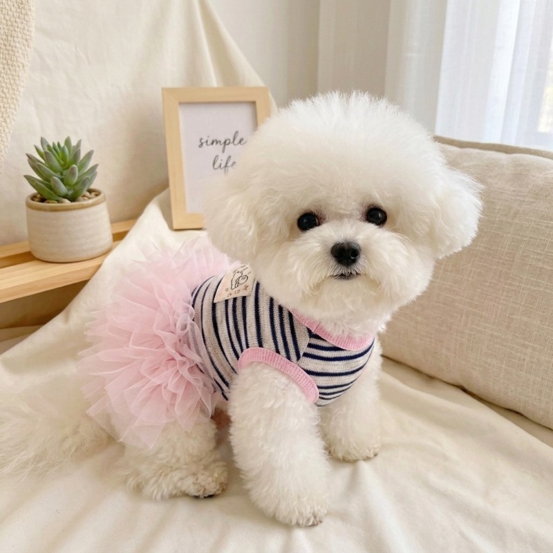 Ins Pet  Princess Dress Woolen - Christmas Throw Blanket avis et prix