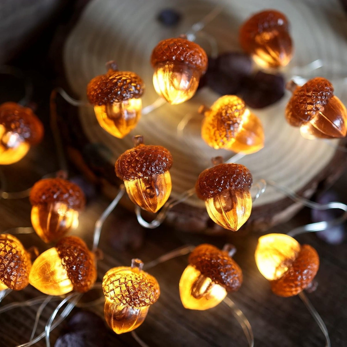 30 LEDs Acorn String Lights Th - Led Fairy String Lights avis et prix